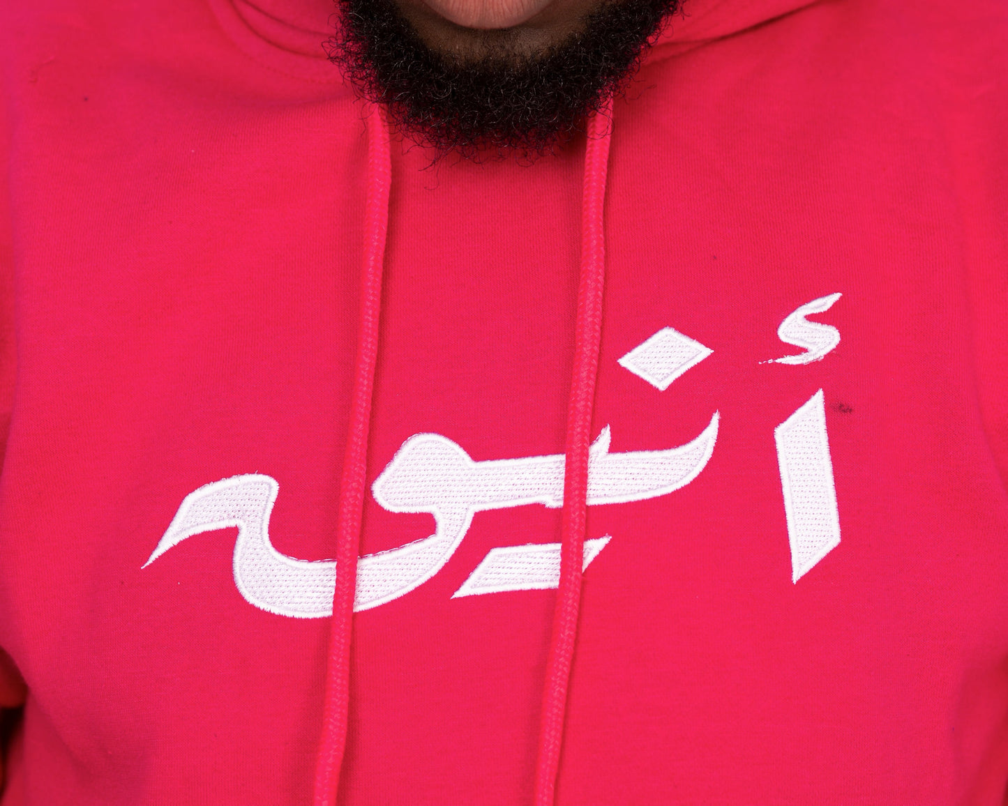 ANEEQ Pink Hoodie